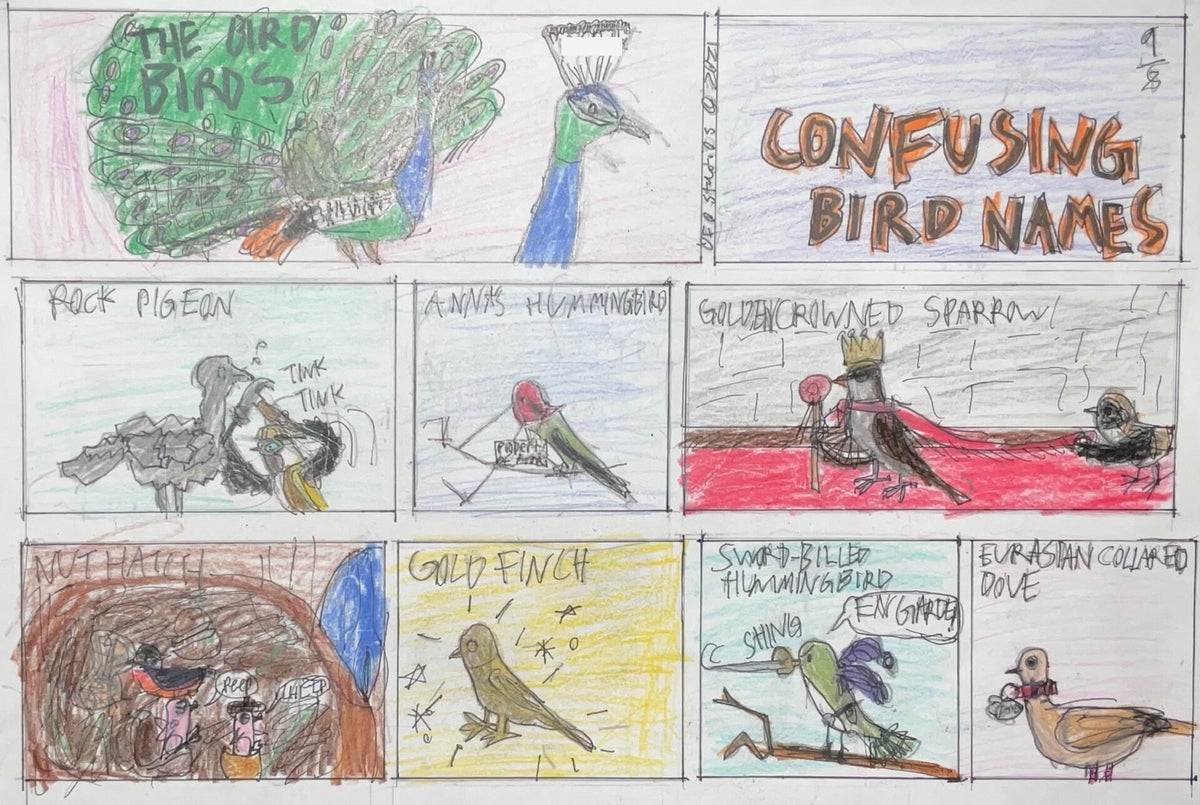 42: Confusing Bird Names | The Bird Birds