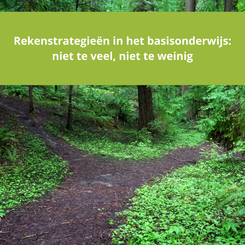 rekenstrategieën in het basisonderwijs