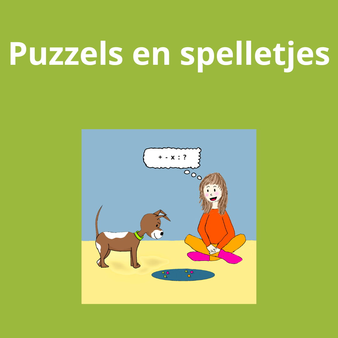 puzzels en spelletjes