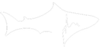 Apex Build Consulting