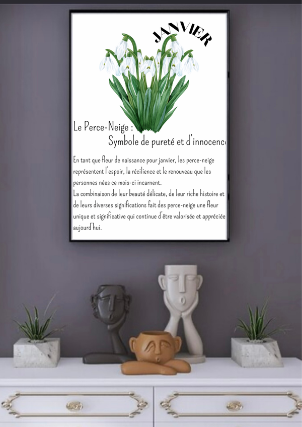 Cadre fleur de naissance pour le mois de Janvier