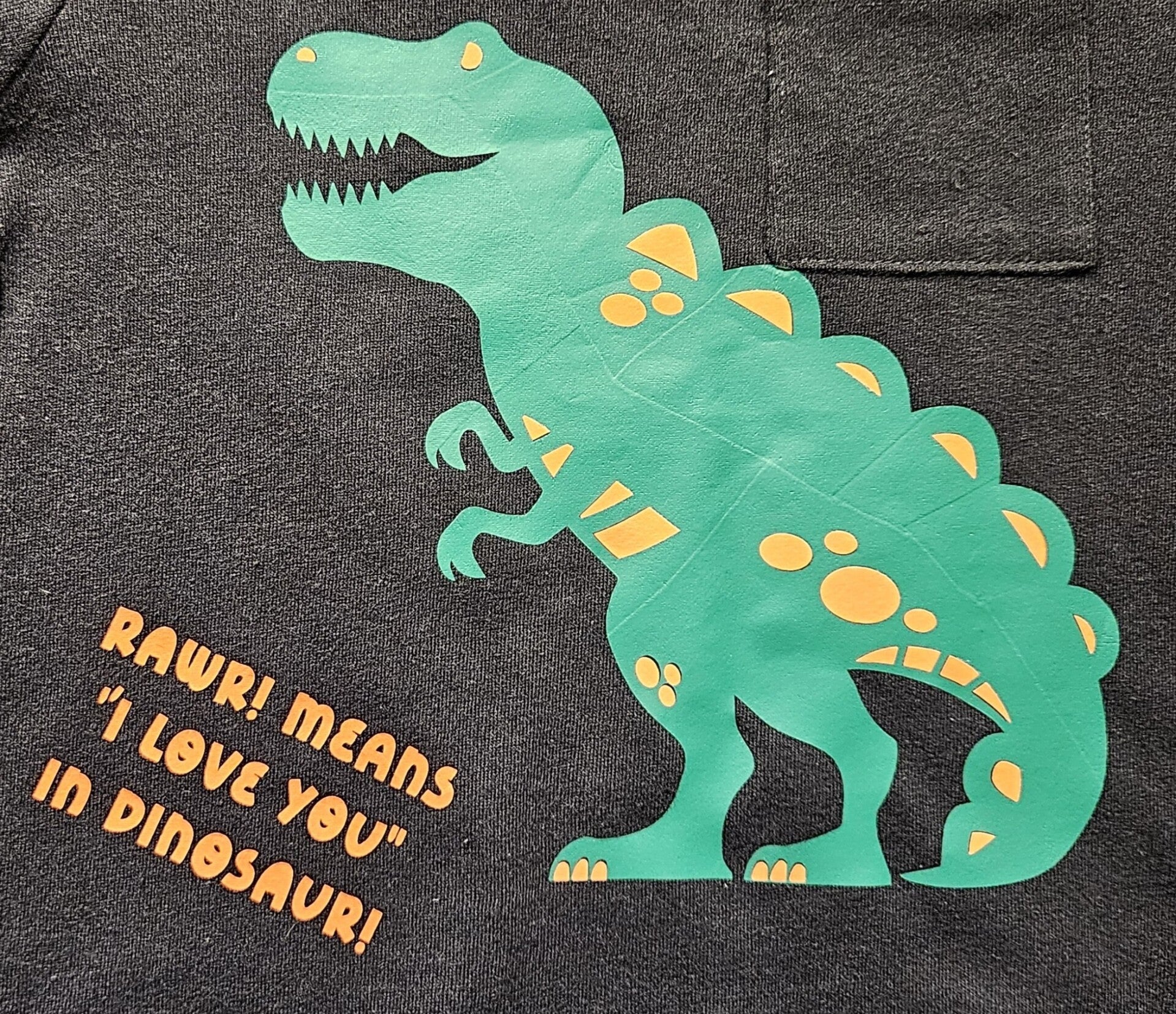 "RAWR! MEANS "I LOVE YOU" IN DINOSAUR!" YOUTH T-SHIRT