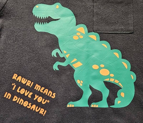 "RAWR! MEANS "I LOVE YOU" IN DINOSAUR!" YOUTH T-SHIRT