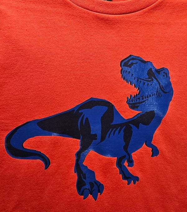 DINO T-SHIRT YOUTH -T-SHIRT
