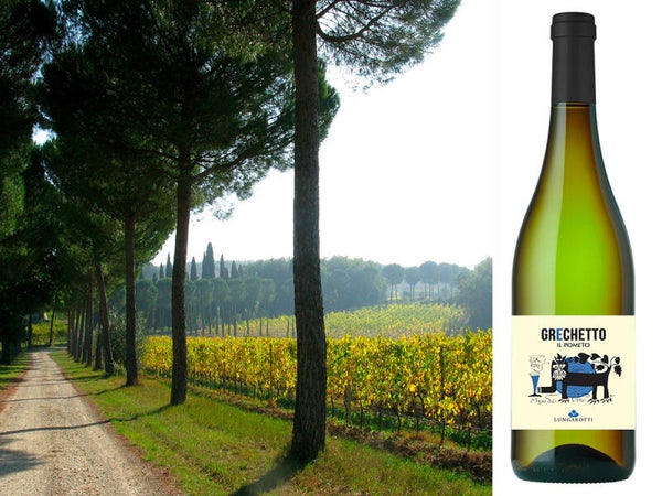 Cantina Lungarotti Grechetto Umbria IGT