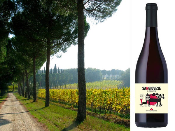 Cantina Lungarotti Sangiovese Umbria IGT
