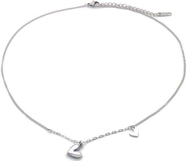 Ketting - stainless steel
