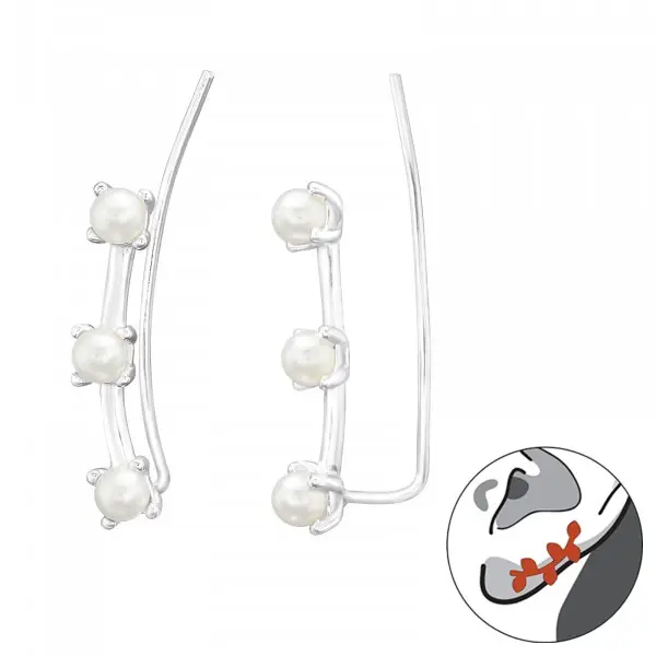 Oorbellen zilver