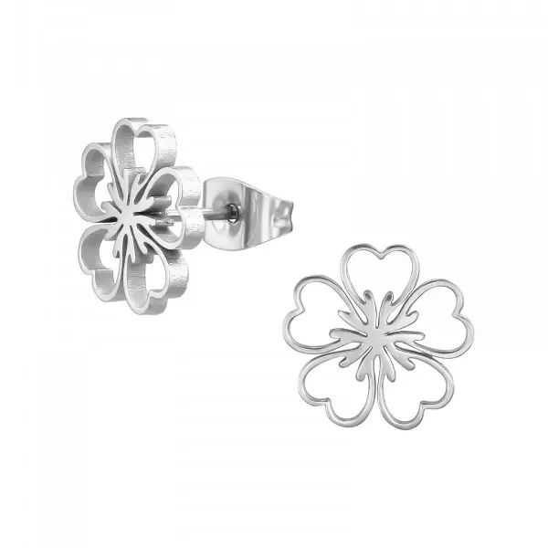 Oorbellen Stainless Steel