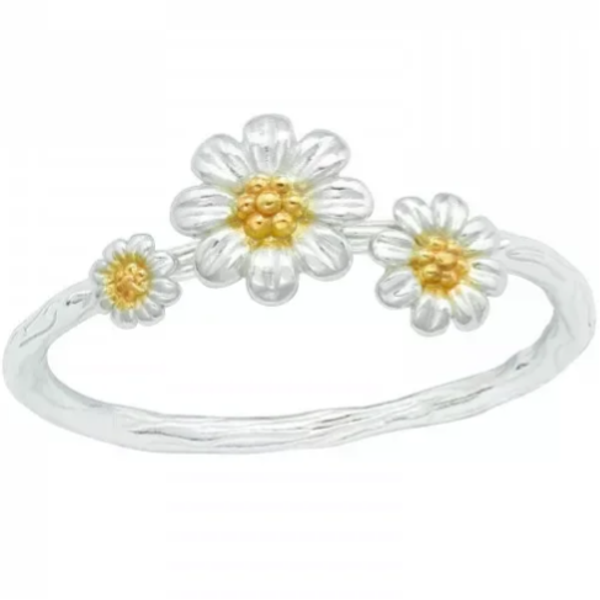 Ring zilver