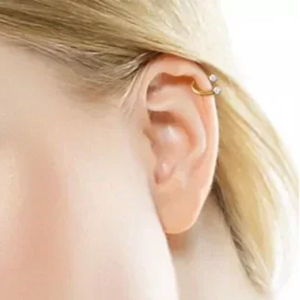 Kraakbeen of septumring