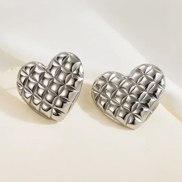 Oorbellen - Stainless Steel