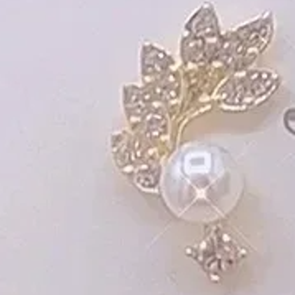 Oorbel - zilver