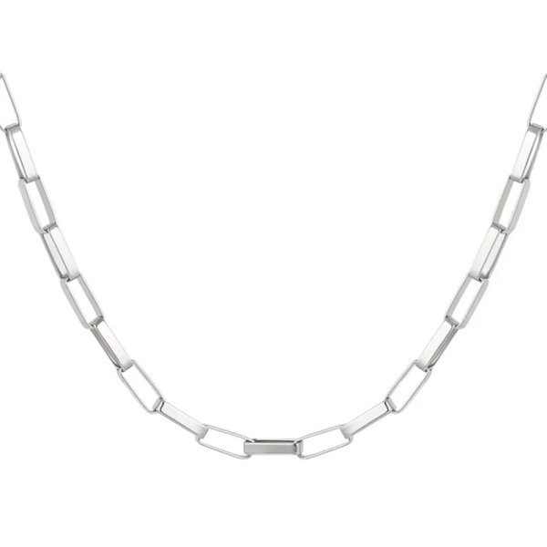 Ketting - stainless steel