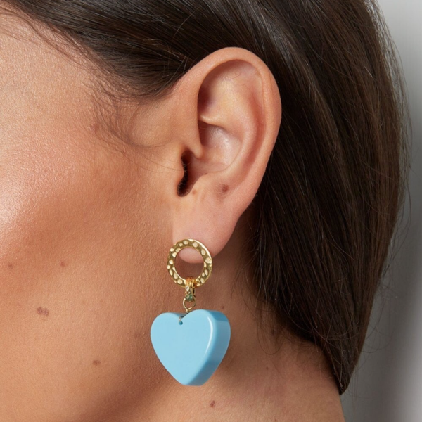 Oorbel - Stainless Steel met Acryl