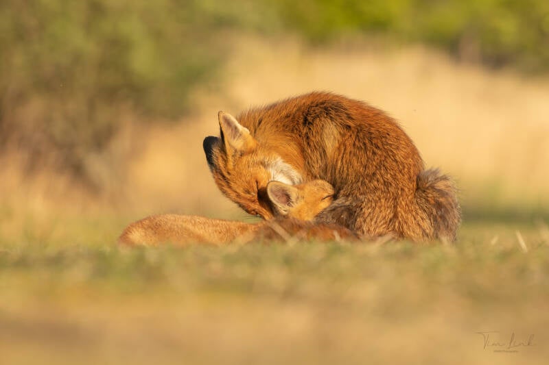 Mom's Favorite Child!