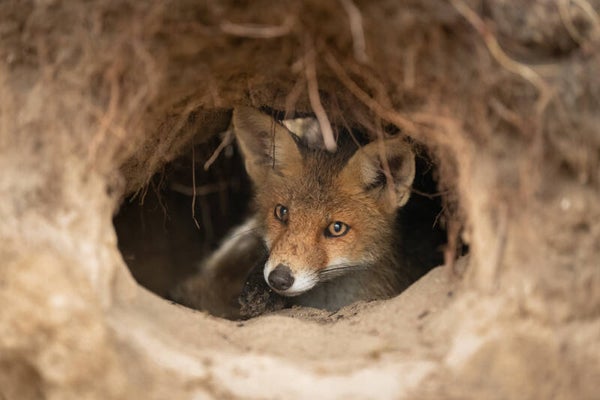 Shelter from the rain.