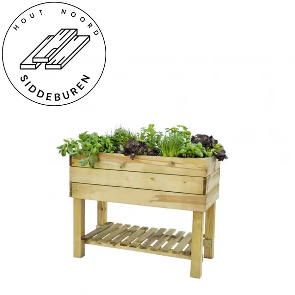 Minigarden robuust grenen 80 x 100 x 50 cm (HxBxD), groen geïmpregneerd
