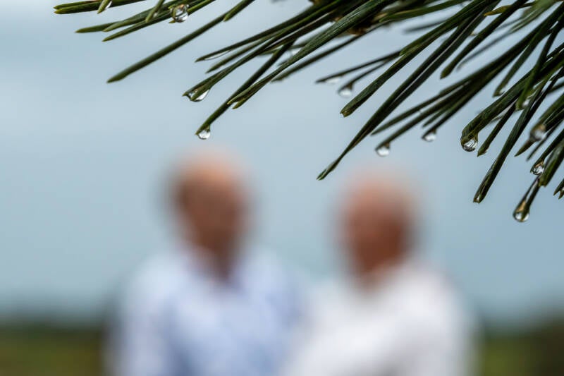 Detail van regendruppels aan dennennaalden met op de achtergrond twee mannen in gesprek
