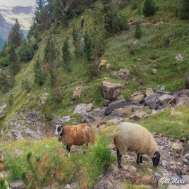 gail_gavarnie3-standard.jpg