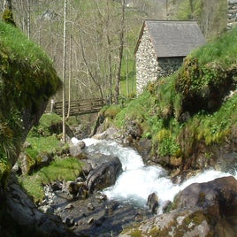 gedre-to-saugu-017-standard.jpg