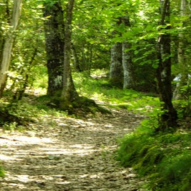 luz-pragnere-gr10-min-standard.jpg