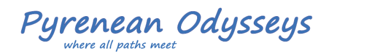 Pyrenean Odysseys