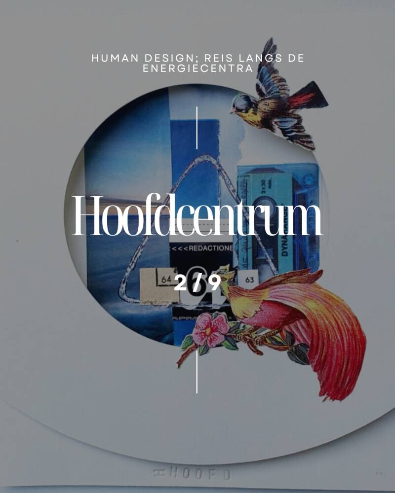 Wat is Human Design en hoe inspireert het mijn kunst? Ontdek in deze blog hoe de 9 energiecentra uit Human Design samensmelten met handgemaakte kunstboekjes. Laat je inspireren door unieke papierkunst en reflecteer op zelfexpressie en intuïtie. Lees meer!