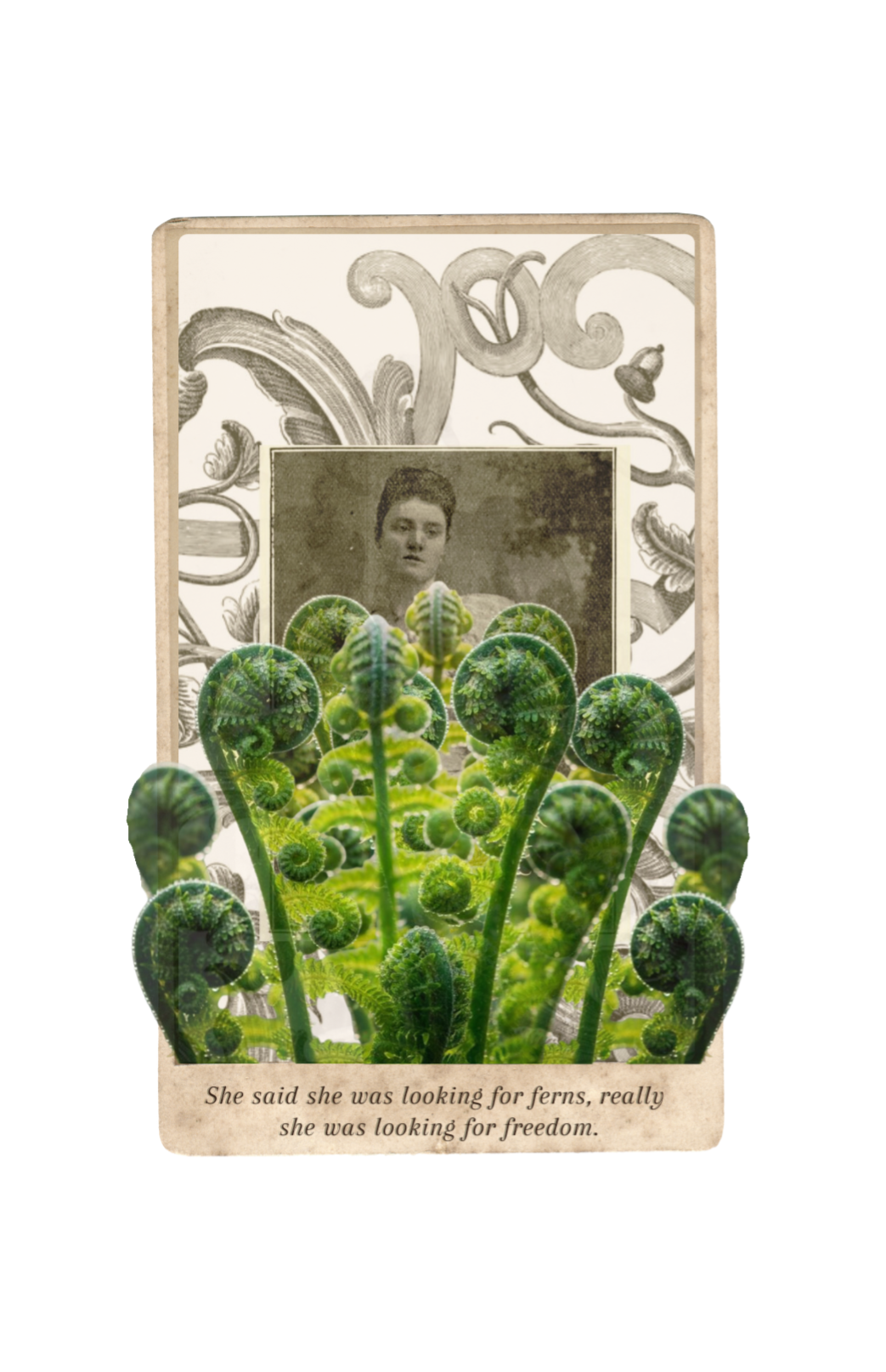 Looking for ferns, artprint, limited edition