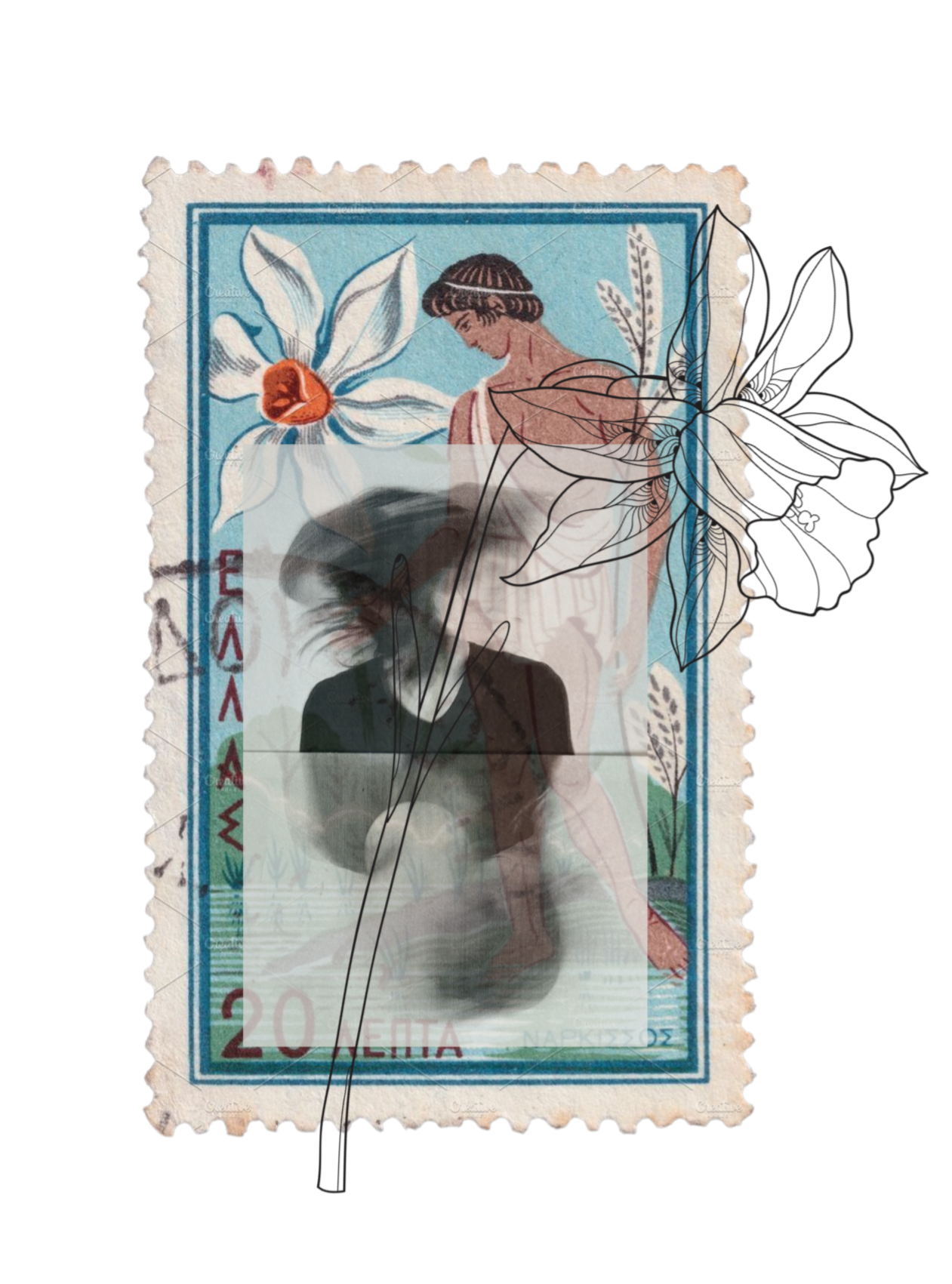 Narcissus, artprint in gelimiteerde oplage