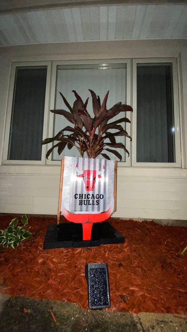 Chicago Bulls Planter