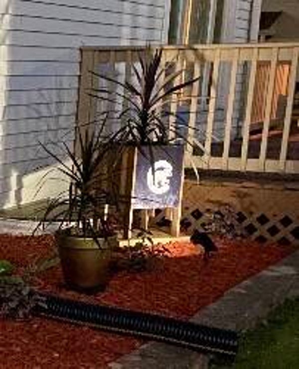 Chicago cubs planter
