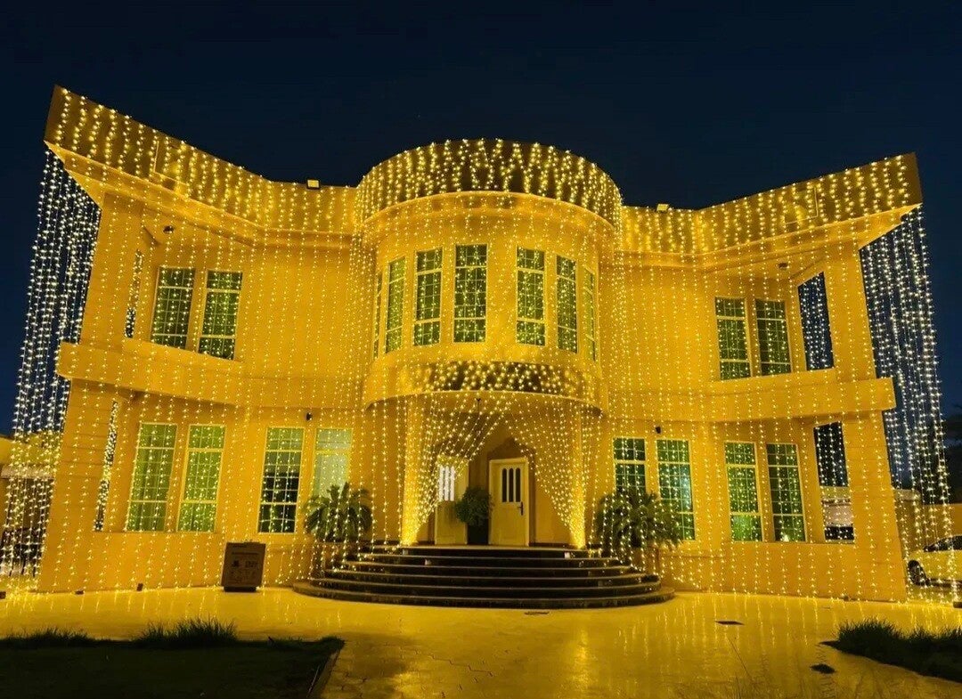 Ali decoration rental lights