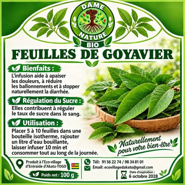 Feuilles de goyavier 100g