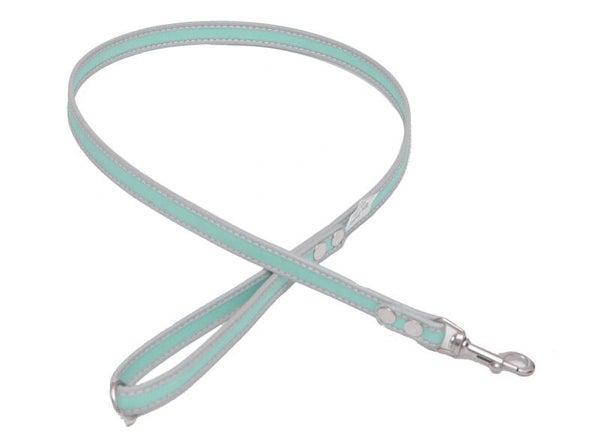 Fibbia lijn mint reflecterend