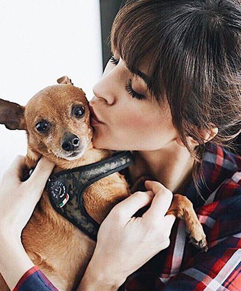 Liberta tuigje camouflage