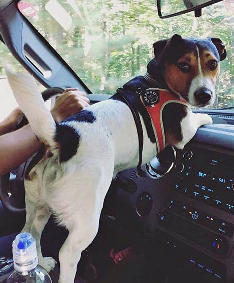 Liberta tuig rood reflective