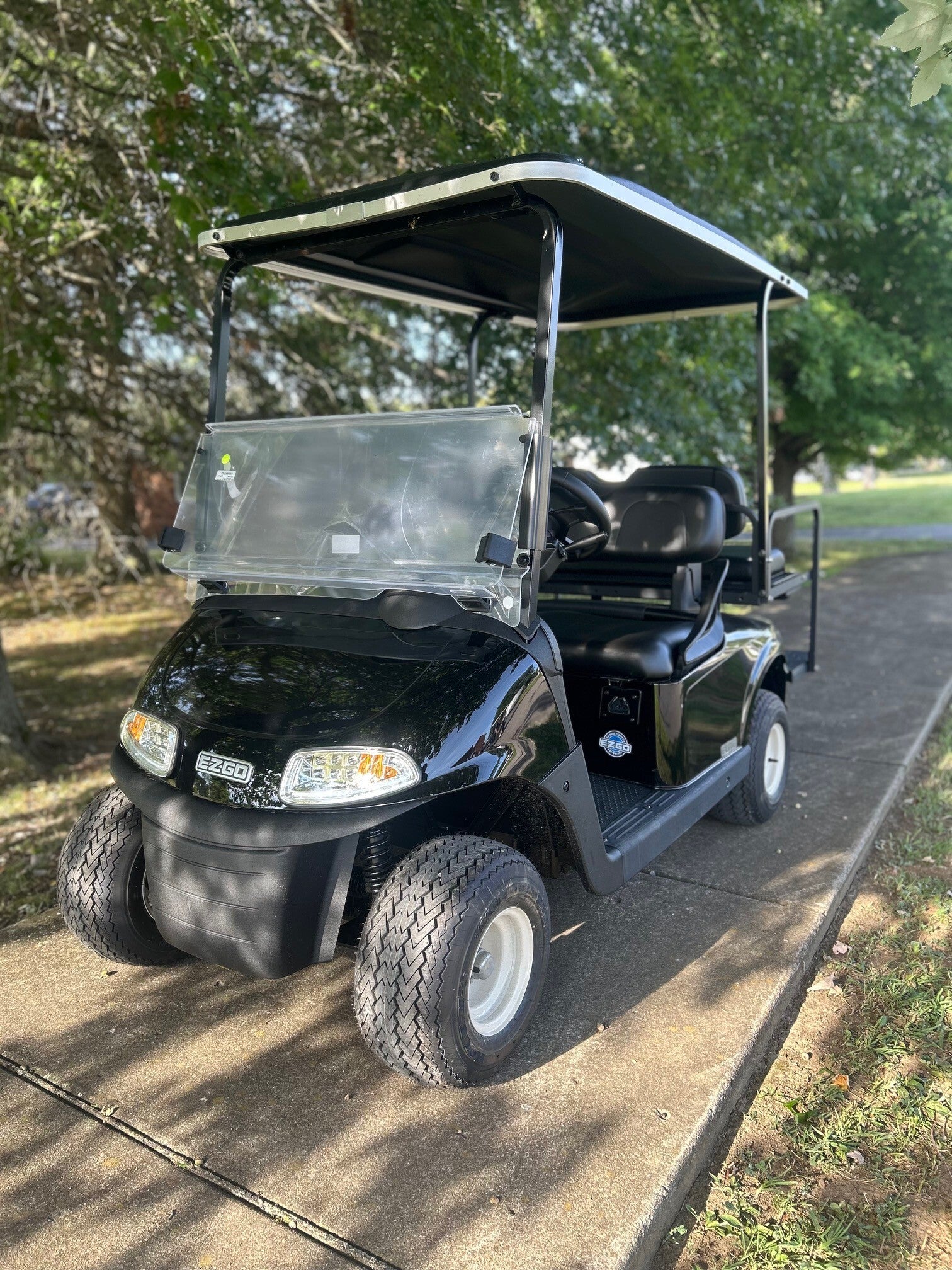 2020 EZGO RXV Elite
