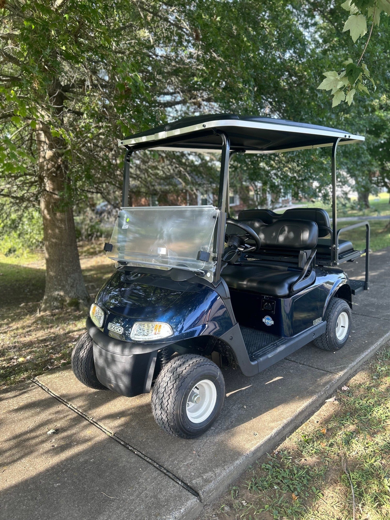 2020 EZGO RXV Elite