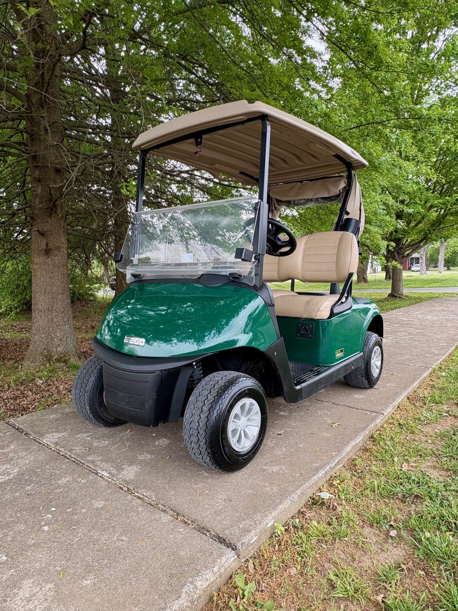 2020 EZGO RXV Elite