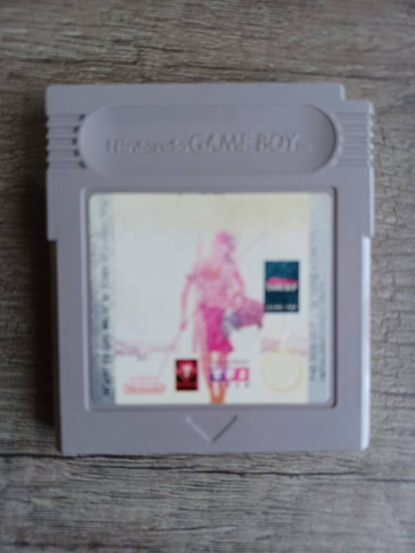 jeu gameboy , un indien dans la ville , occasion