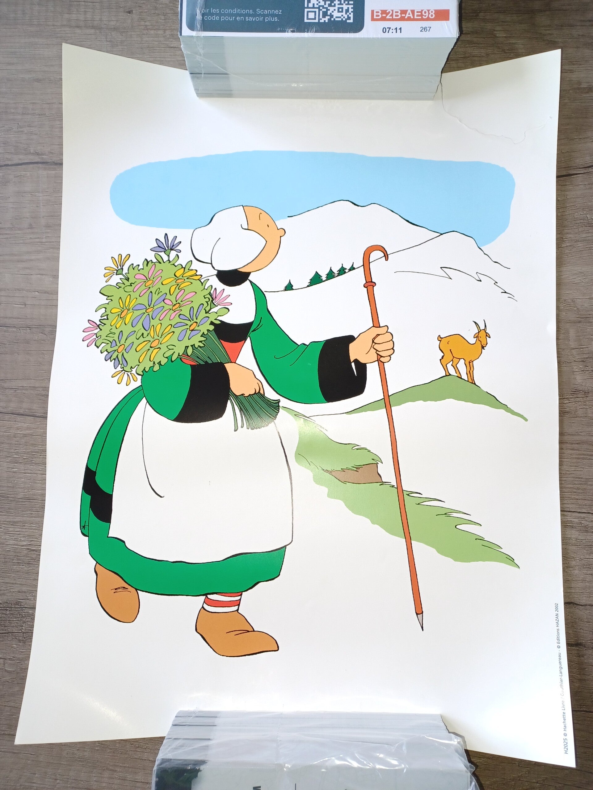 3 illustrations becassine , occasion