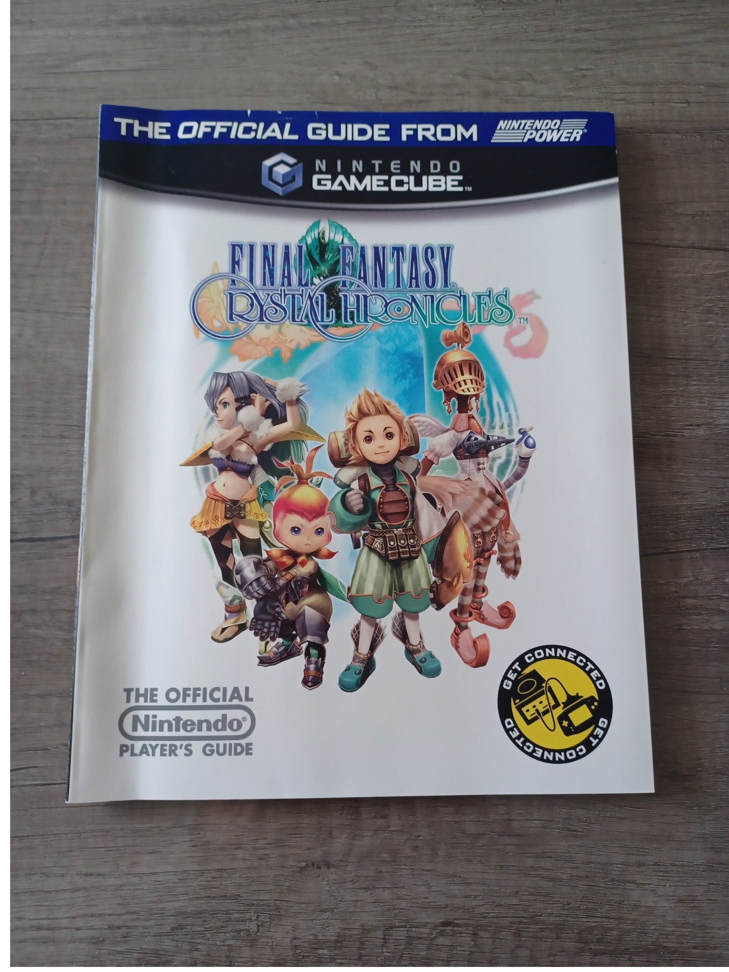 guide final fantasy crystal chronicles , gamecube , en anglais , occasion