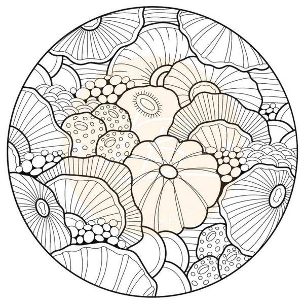 Coral Circle 2