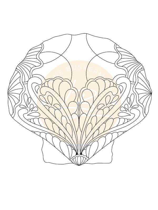 Scallop Shell 2