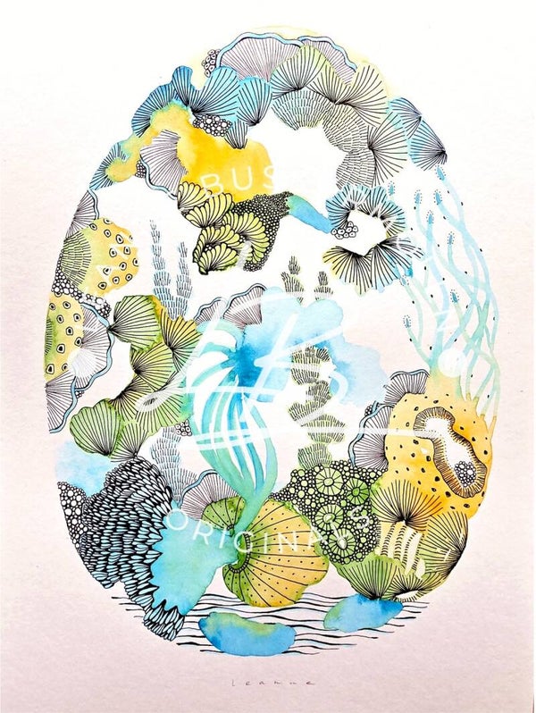 Oval Spring Reef