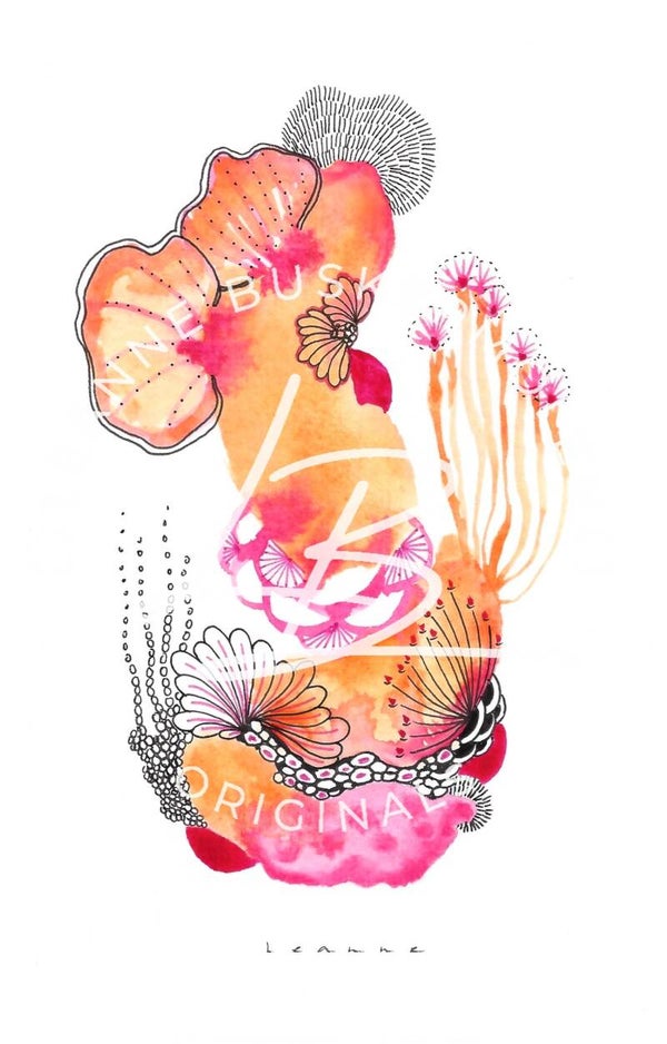 Queens Coral