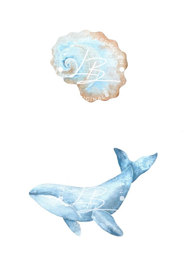 Shell & Whale