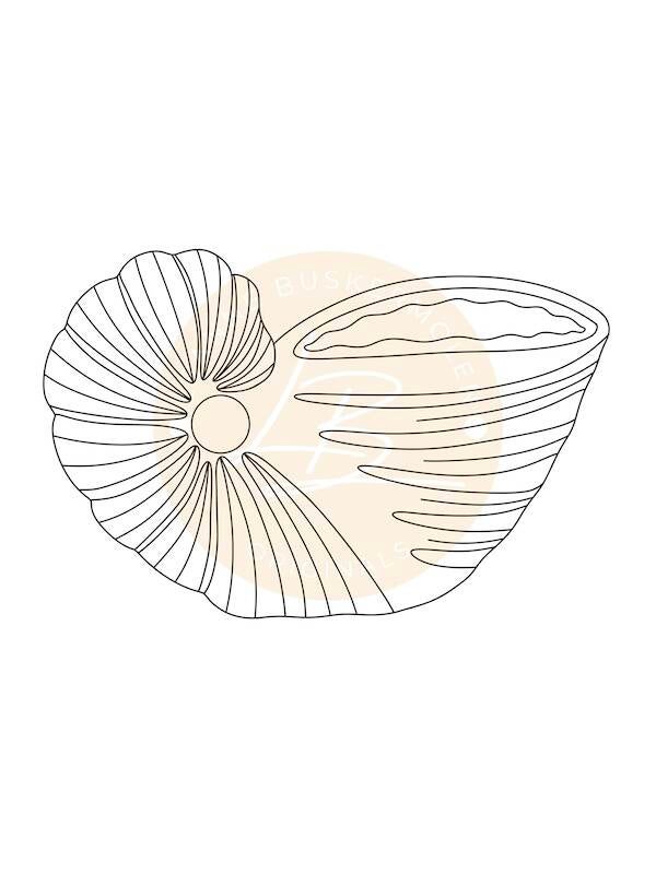 Shell 1