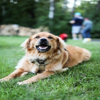 img_3084-1-standard.jpg